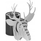 Té régul'art option CERF