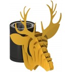 Té régul'art option CERF